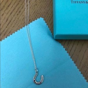 Authentic Tiffany & Co horseshoe necklace